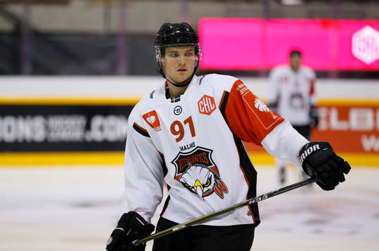 Max Görtz, Malmö Redhawks