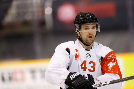 Nichlas Hardt, Malmö Redhawks