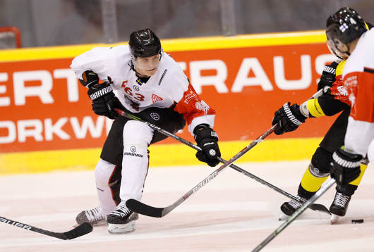 Fredrik Händemark, Malmö Redhawks
