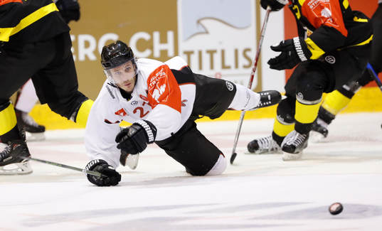 Andy Miele, Malmö Redhawks