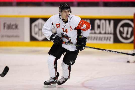 Carl-Johan Lerby, Malmö Redhawks