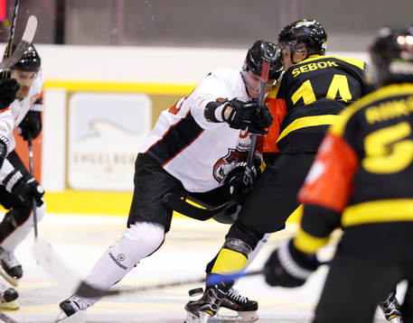 Rhett Rakhshani, Malmö Redhawks and Balazs Sebok, KalPa