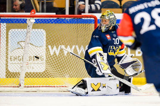 Linus Söderström goaltender looks dejected as the passes
