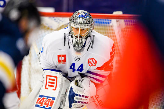 Dennis Endras goaltender of Adler Mannheim