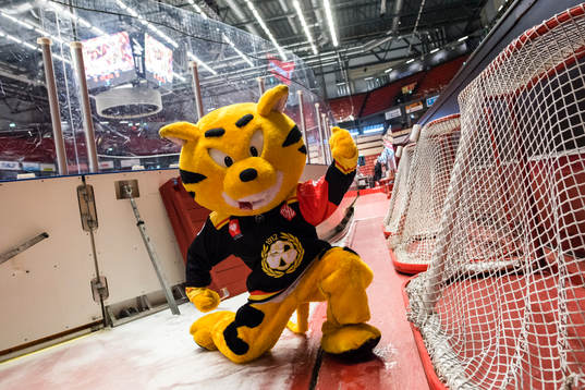 Mascot of Brynäs
