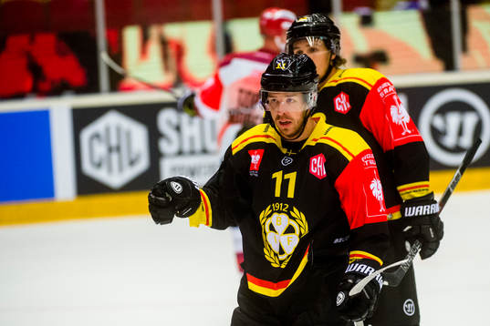 Kevin Clark of Brynäs celebrates the 3-3 goal