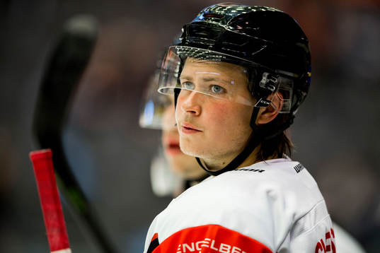 Malmö Redhawks Måns Hansson