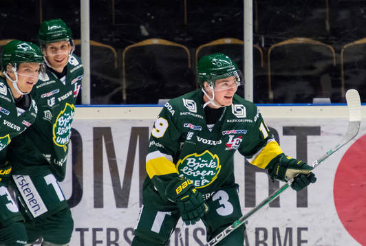 Björklöven jublar