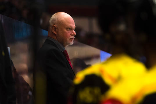 Head coach Roger Melin of Brynäs