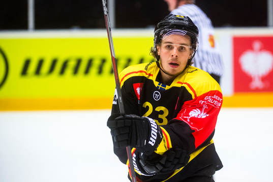 Lucas Carlsson of Brynäs celebrates the 4-0 goal