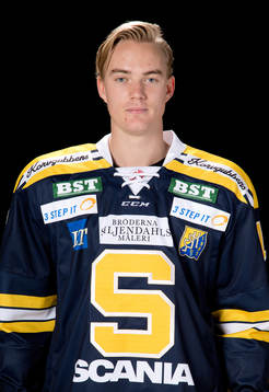 Södertäljes Petter Hansson
