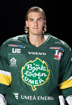 Björklövens Adam Werner
