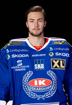 Oskarshamns Ludvig Engsund