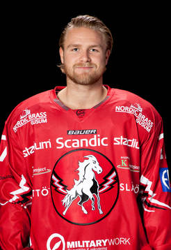 Bläddra bland fler bilder av Ishockey, Hockeyallsvenskan, Portrtätt, Vita Hästen