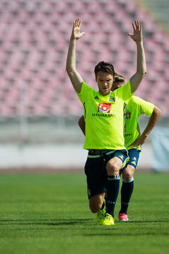 Albin Ekdal