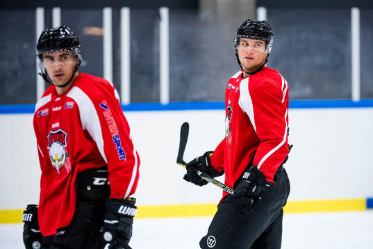 Nils Andersson och Max Görtz