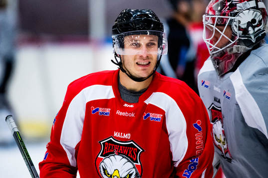 Andy Miele