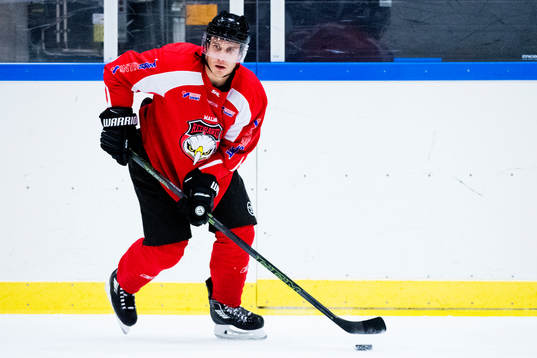 Andy Miele