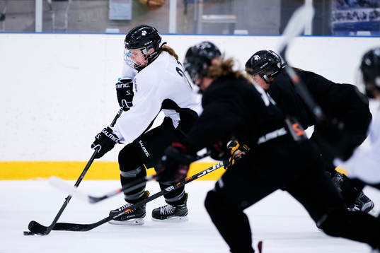 Hanna Sköld driver pucken