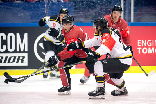Bläddra bland fler bilder av Ice Hockey, CHL, Malmö Redhawks - Stavanger Oilers