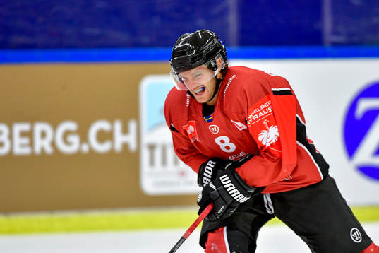 Johan Olofsson of Malmö Redhawks is in pain