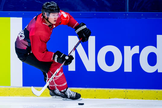 Rhett Rakhshani och Malmö Redhawks