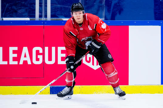 Rhett Rakhshani och Malmö Redhawks