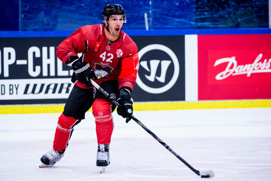 Niklas Arell of Malmö Redhawks