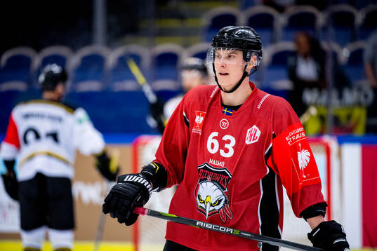 Fredrik Händemark of Malmö Redhawks