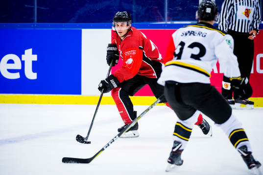 Andy Miele of Malmö Redhawks
