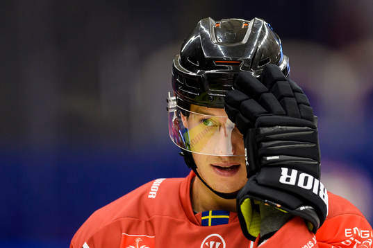Robin Alvarez of Malmö Redhawks