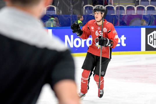 Fredrik Händemark of Malmö Redhawks celebrates with his