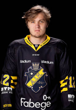 s Max Lindholm