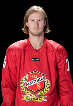 Almtunas Erik Flood