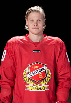 Almtunas Ludvig Nilsson