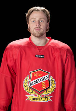 Almtunas Albin Carlson