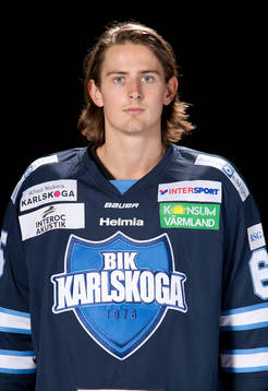 Almtunas Erik Brissle