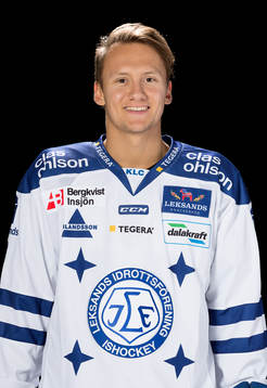Leksands Daniel Bertov