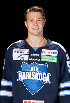 Almtunas Henrik Rommel