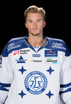 Leksands Tex Williamsson