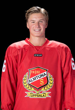 Almtunas Gustav Lindström