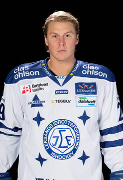 Leksands David Åslin