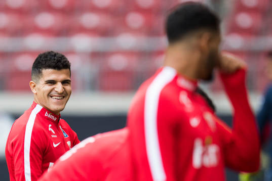 Tarik Elyounoussi