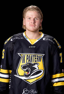 Bläddra bland fler bilder av Ishockey, Hockeyallsvenskan, Porträtt, Pantern
