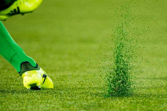A goalkeeper has kicked the ball