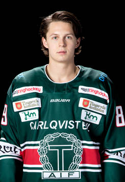 Tingsryds Victor Laz