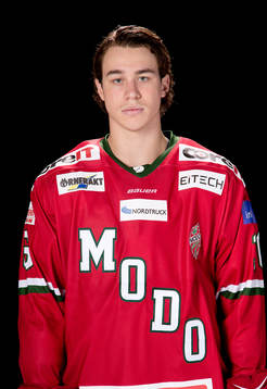 Bläddra bland fler bilder av Ishockey, Hockeyallsvenskan, Porträtt, Modo