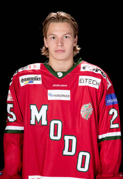 Modos Lukas Wernblom