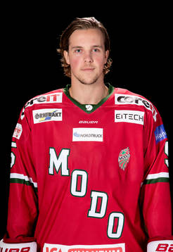 Modos Sebastian Walfridsson