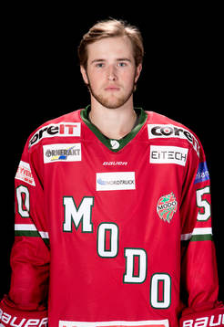Modos Tim Wahlgren